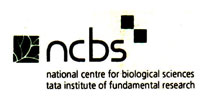 Ncbs